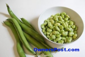 bakla-nasil-yapilir