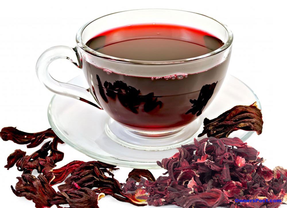Hibiskus Çayı