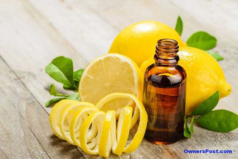 Limon Kabuğu Yağı Faydaları