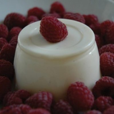 yogurtlu-panna-cotta-tarifi