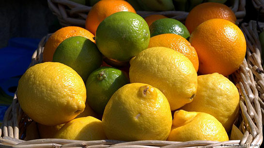 limon-asidi