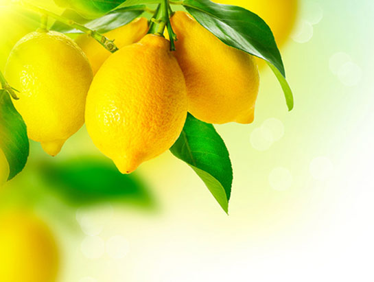limon-kac-kalori