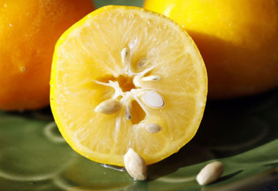 limon-cekirdegi