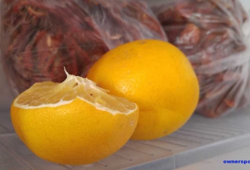 Donmuş Limonun Faydaları Nelerdir ve Özellikleri