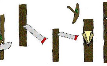 Gül Nasıl Aşılanır