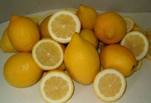 Hamilelikte Limon Yemek