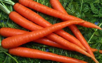 Havuç Nasıl Yetiştirilir