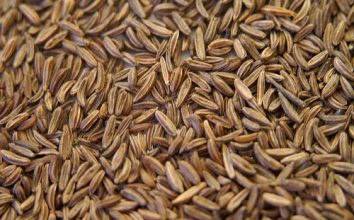 Kimyon Nasıl Yetiştirilir