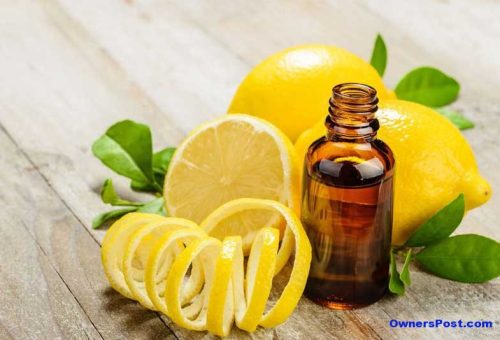 Limon Kabuğu Yağı Faydaları Nelerdir?
