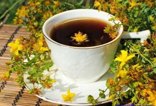 Sarı Kantaron Çayının Faydaları Nelerdir ve Özellikleri