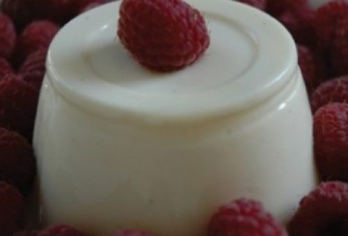 Nijer home-style Recipes Yoğurtlu Panna Cotta Tarifi