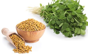 Çemen Otu Nasıl Yetiştirilir